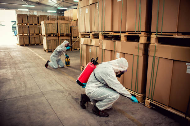 Best Mosquito Control Services  in Mpo, CA