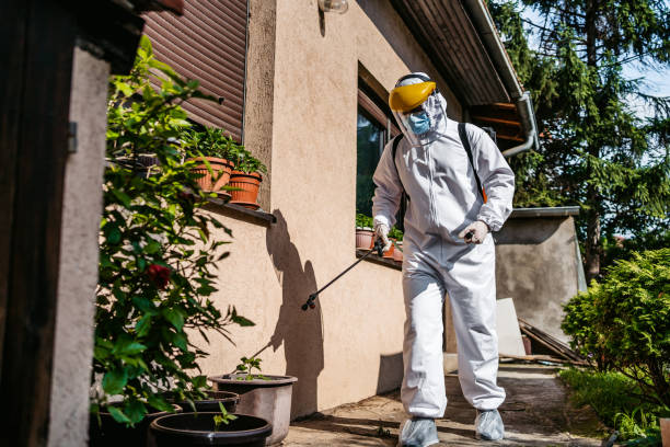 Best Spider Control Near Me  in Mpo, CA
