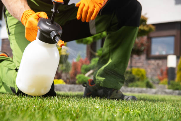 Best Pest Removal Services  in Mpo, CA