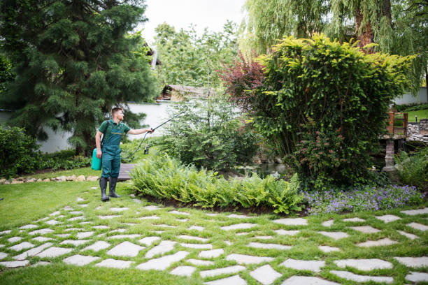 Best Pest Control Cost  in Mpo, CA