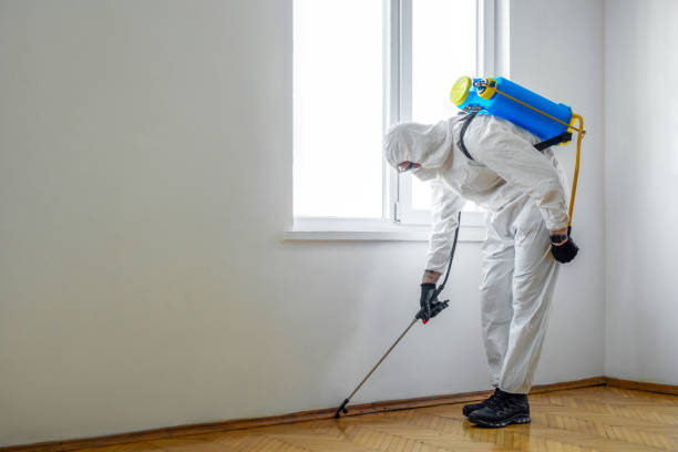 Best Affordable Pest Control Services  in Mpo, CA