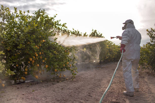 Best Cockroach Control Services  in Mpo, CA