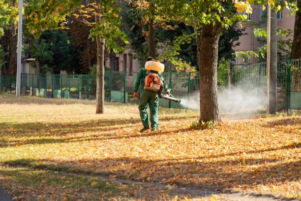 Best Local Pest Control Services  in Mpo, CA