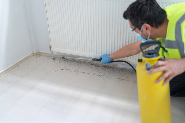 Best Bed Bug Extermination  in Mpo, CA