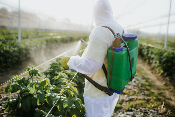 Pest Control Cost in Campo, CA